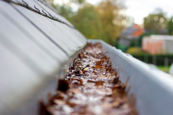 Commercial Gutter Cleaning in Visalia
