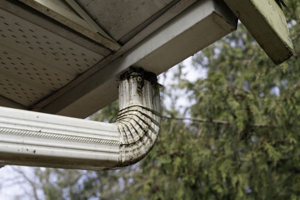 Downspout Cleaning in Visalia