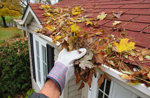 Rain Gutter Cleaning Service in Visalia