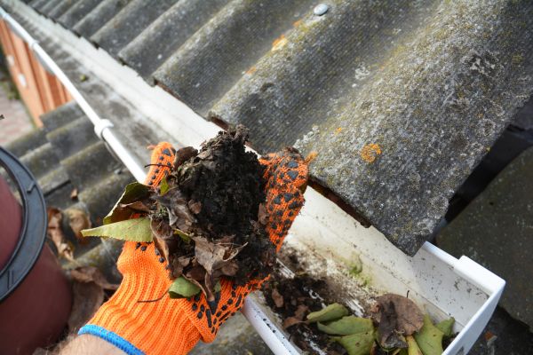 Cost of Seamless Gutter Cleaning in Visalia