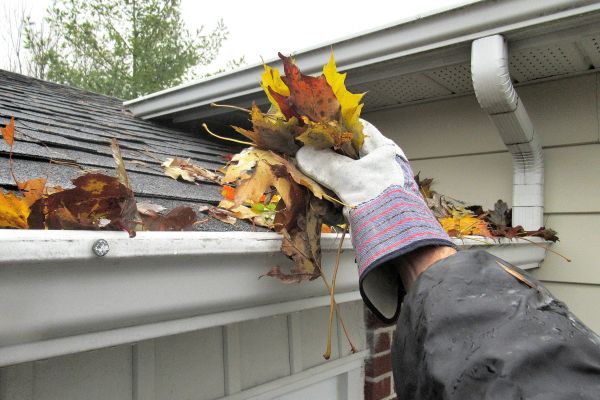 Leaf Gutter Cleaning in Visalia