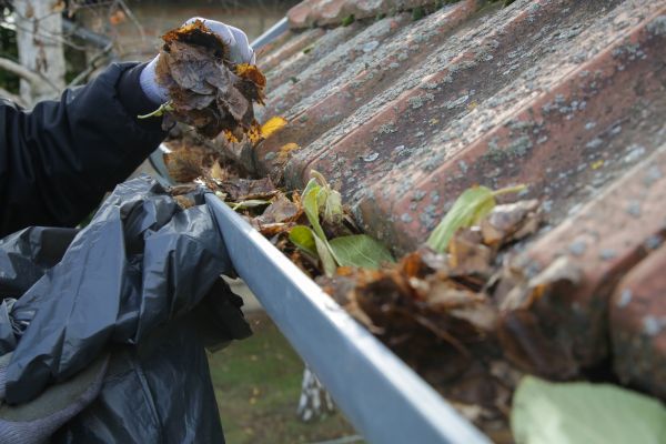 Commercial Gutter Unclogging in Visalia