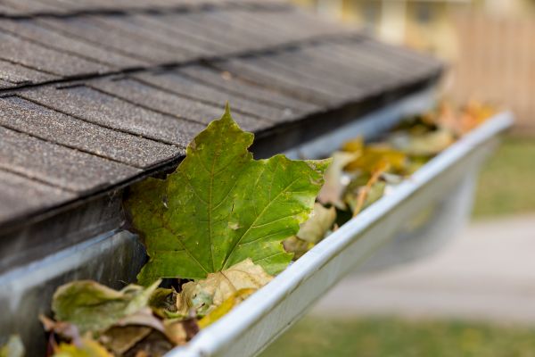 Commercial Downspout Cleaning in Visalia