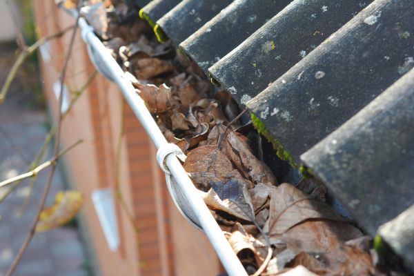 Cost of Home Gutter Cleaning in Visalia