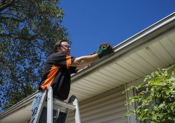 Cost of Eavestrough Clearing in Visalia