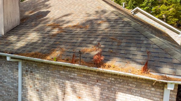 Cost of Gutter Pine Needle Removal in Visalia
