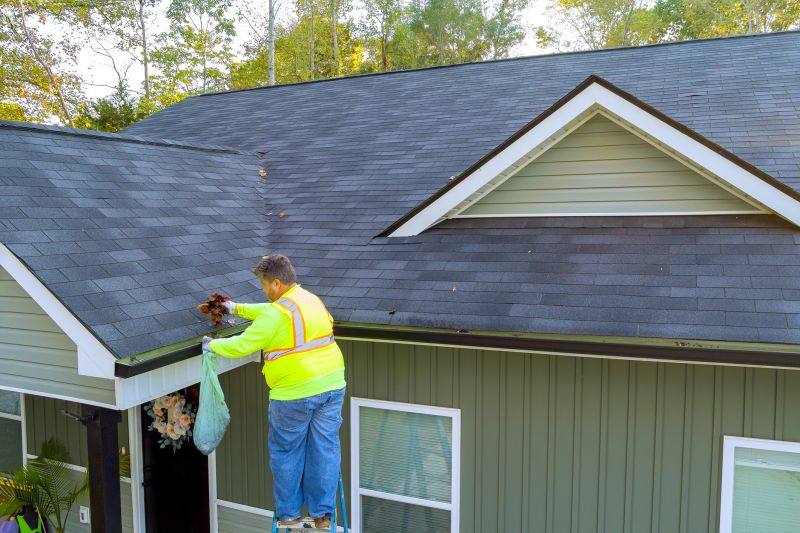 Roof and Gutter Maintenance
