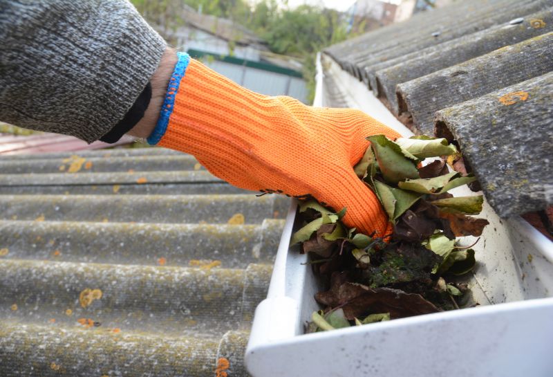 Pine Needle Gutter Cleaning